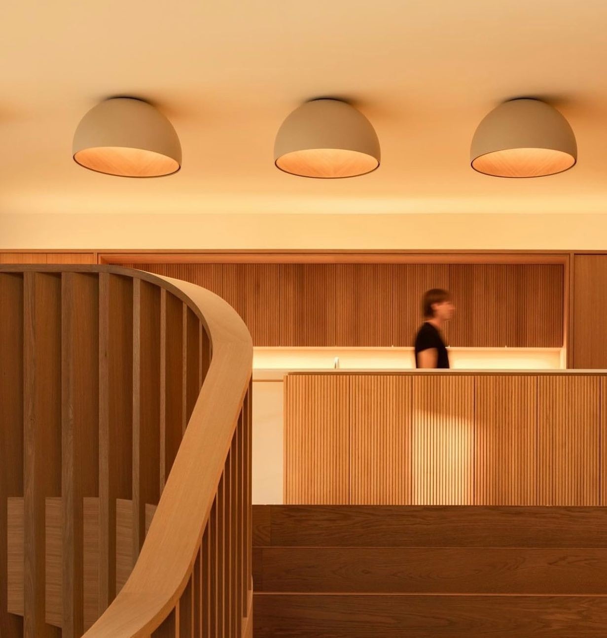 Aurion Duo Flush Ceiling Light