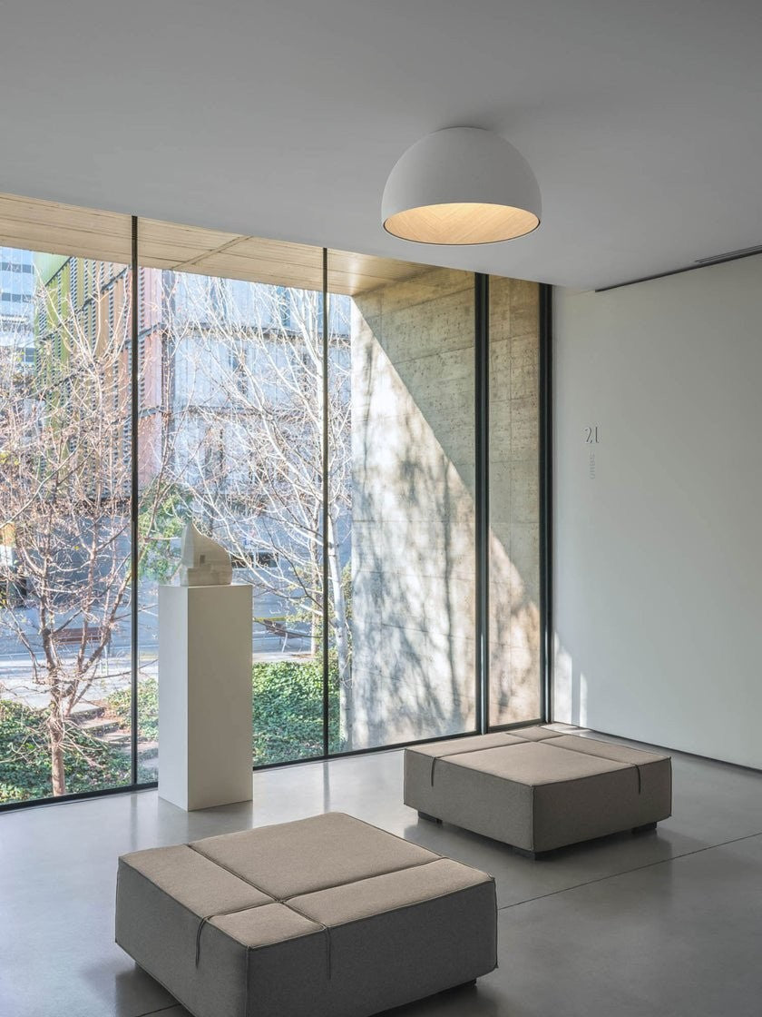 Aurion Duo Flush Ceiling Light