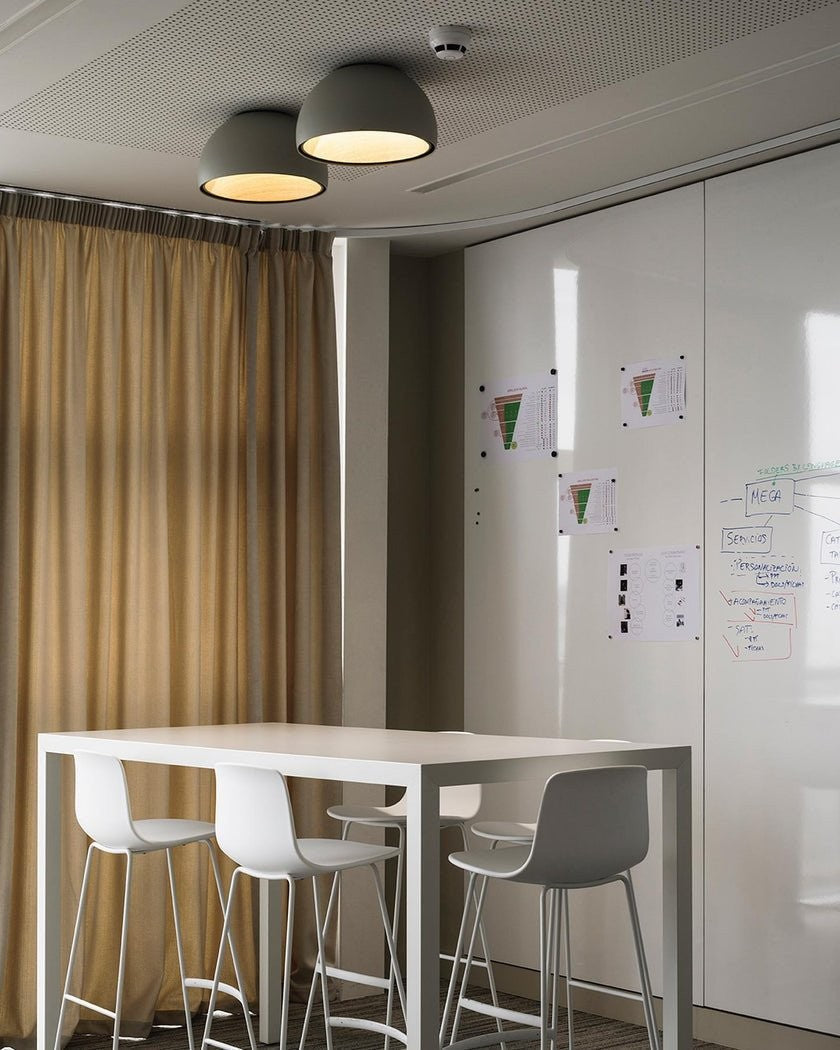 Aurion Duo Flush Ceiling Light