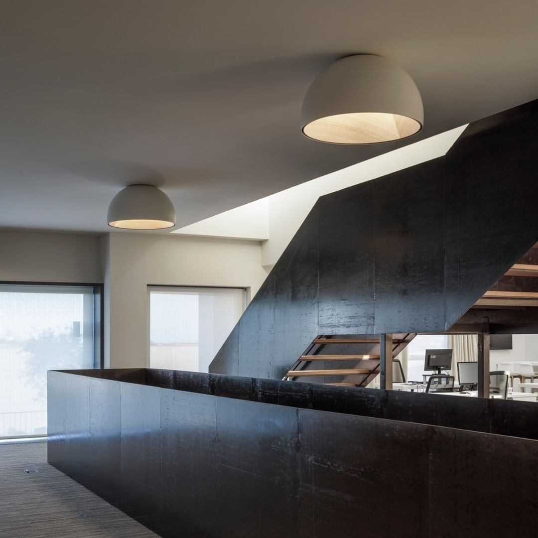 Aurion Duo Flush Ceiling Light