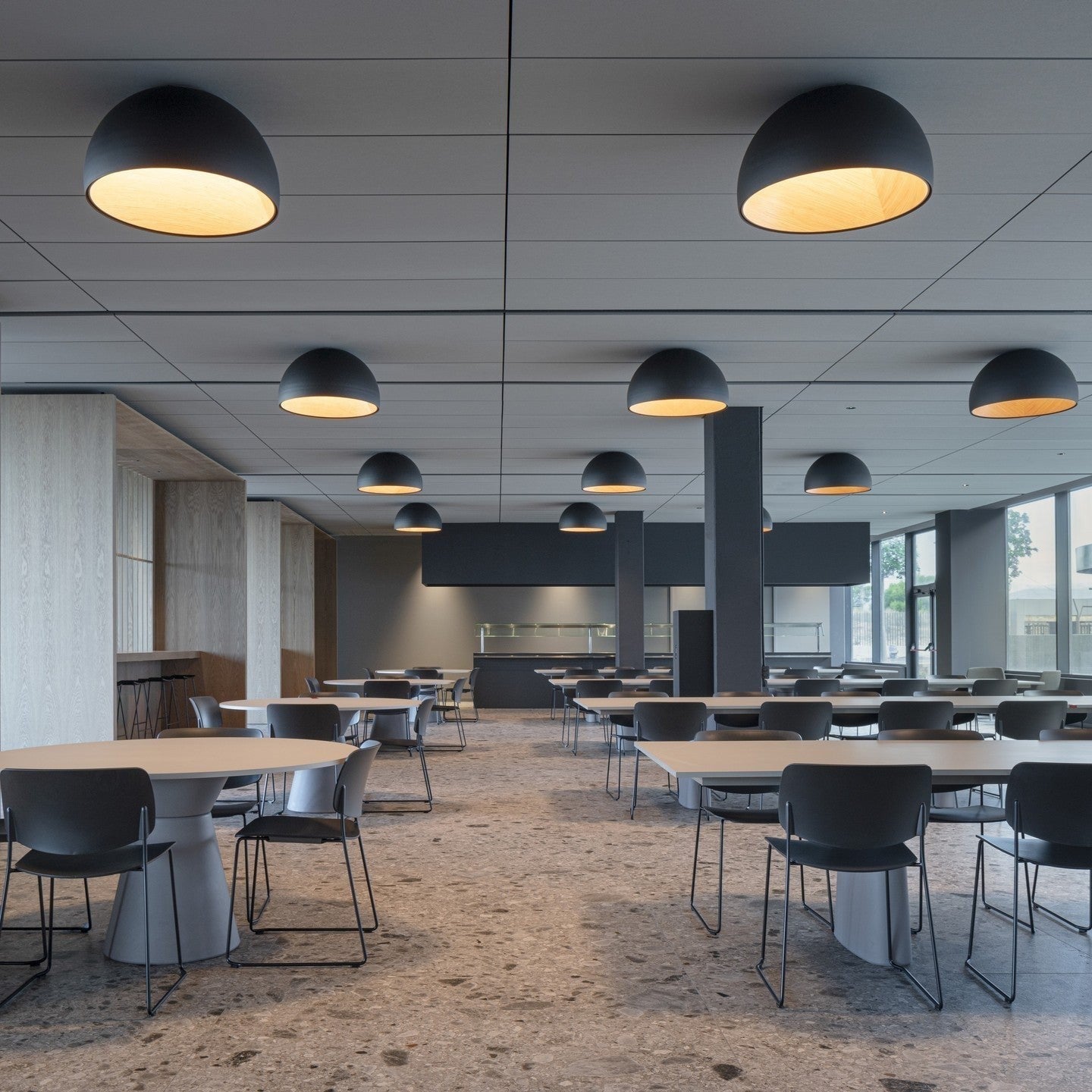 Aurion Duo Flush Ceiling Light