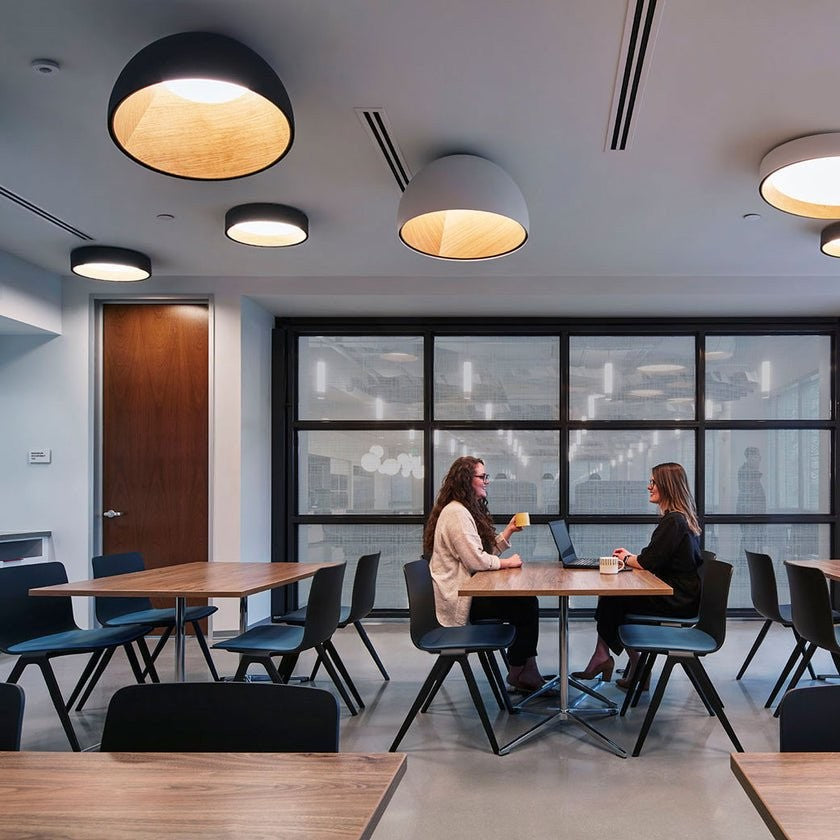 Aurion Duo Flush Ceiling Light