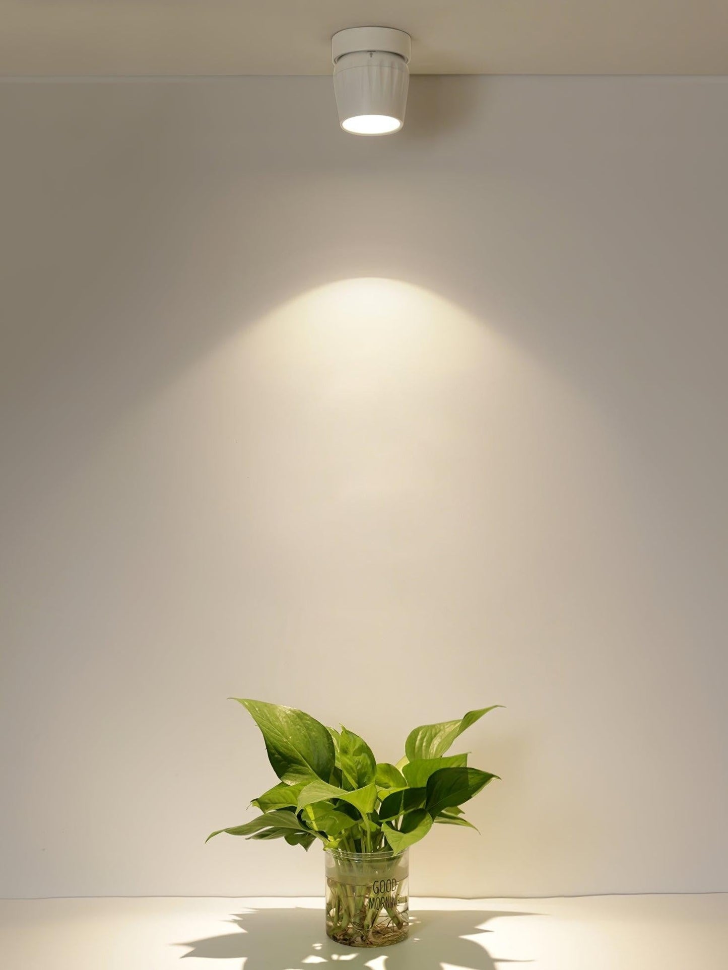 Axis Rotating Spotlight