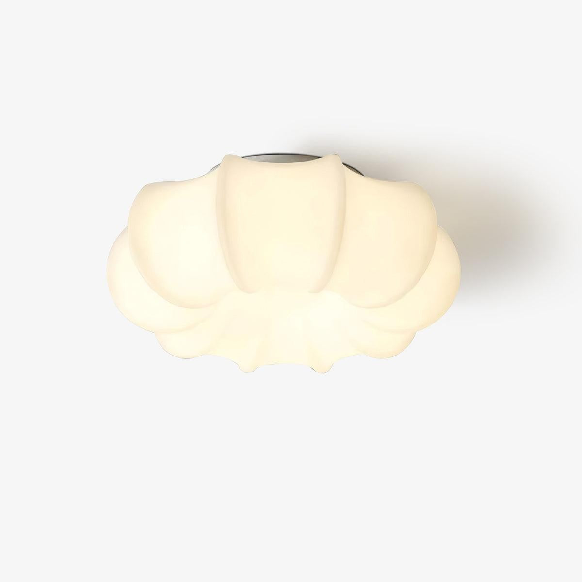Nimbus Canopy Ceiling Light