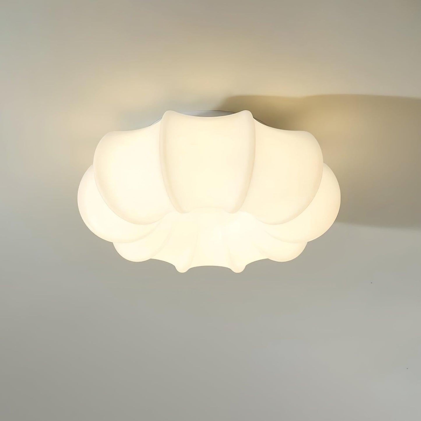 Nimbus Canopy Ceiling Light
