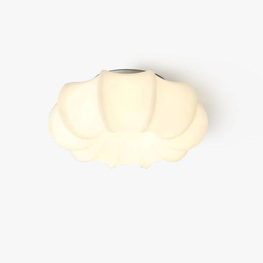 Nimbus Canopy Ceiling Light