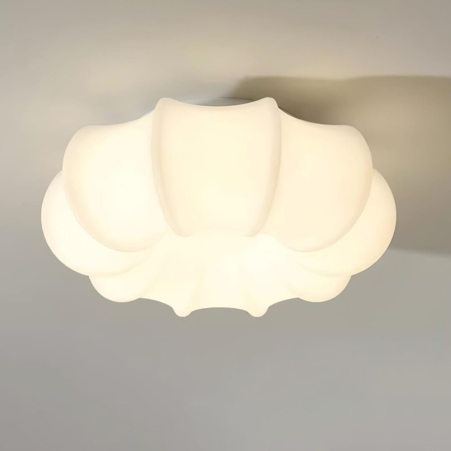 Nimbus Canopy Ceiling Light